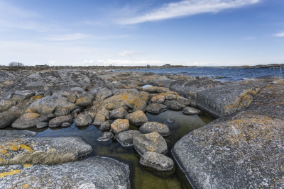 Rantakivikkoa